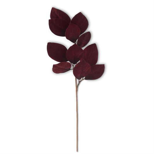 Rama hojas magnolia terciopelo corinto 33 in