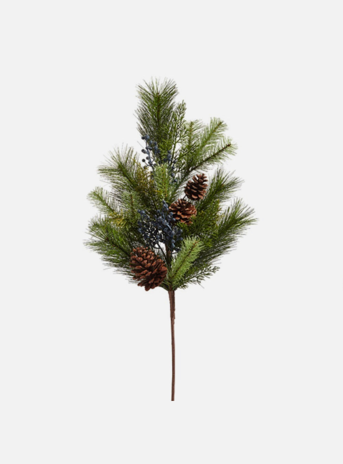 Rama de pino con berries azules￼