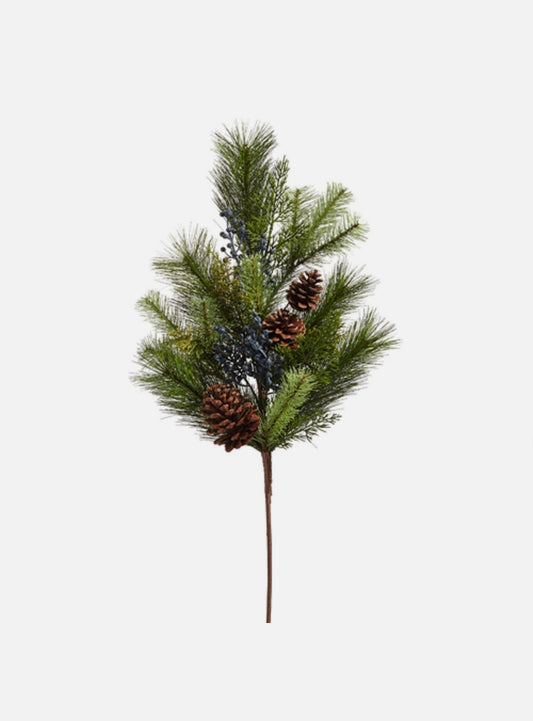 Rama de pino con berries azules￼