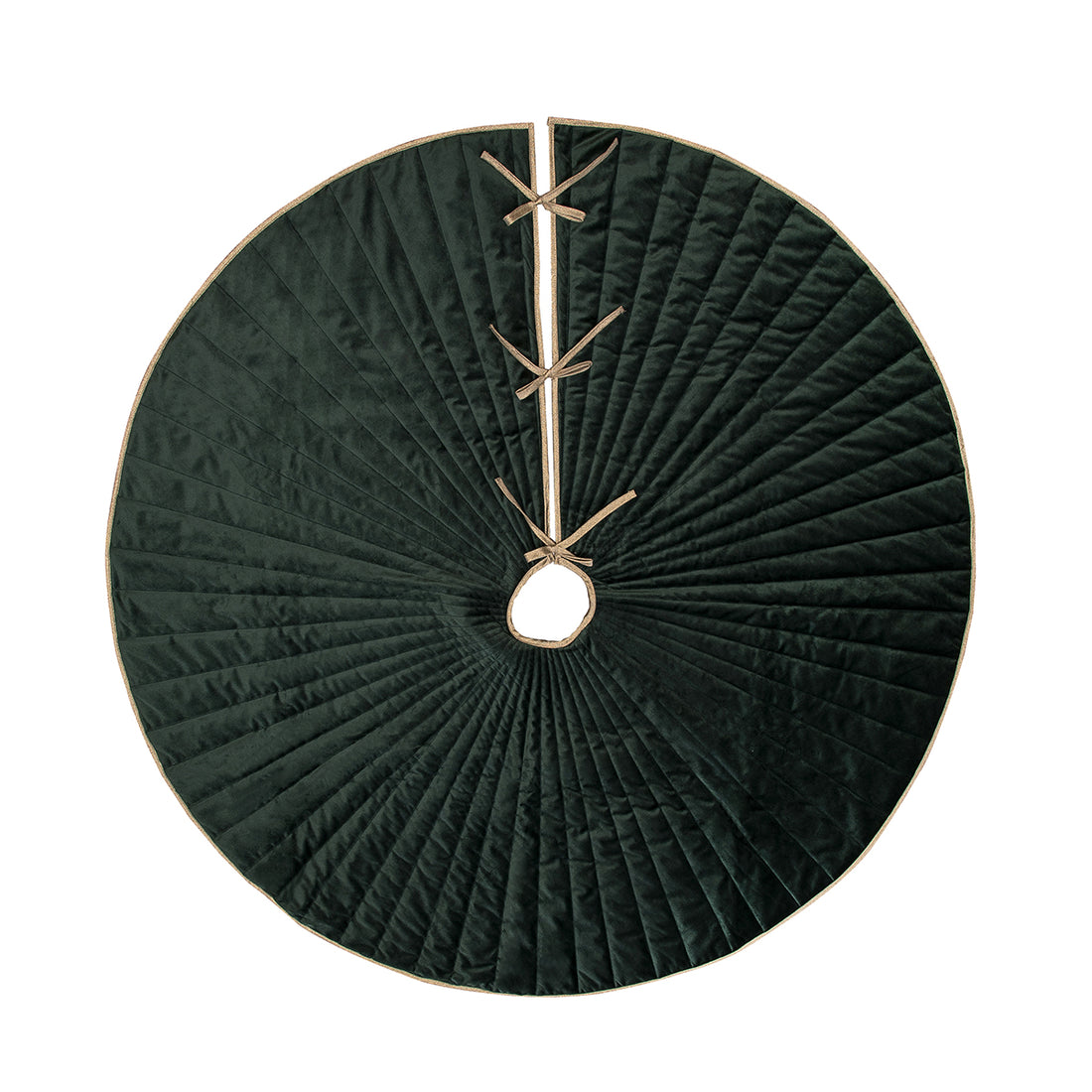 Pie de  arbol velvet splendor
