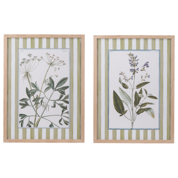 Cuadros de flores con lineas verdes