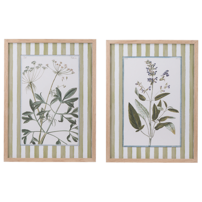 Cuadros de flores con lineas verdes