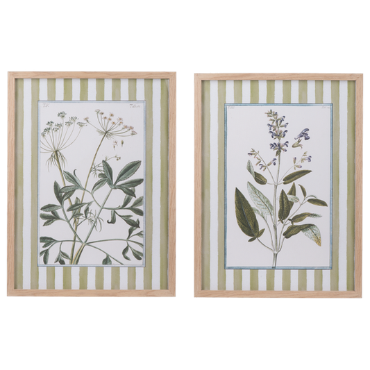 Cuadros de flores con lineas verdes