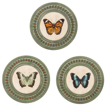 Cuadros redondos de mariposa