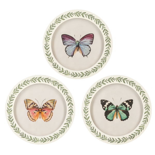 Cuadro redondo de mariposa