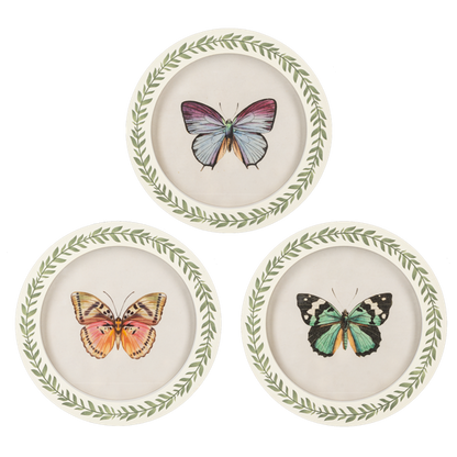 Cuadro redondo de mariposa