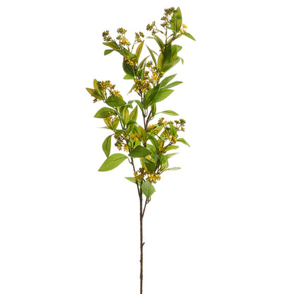 Rama de Laurel Amarillo con hojas verdes