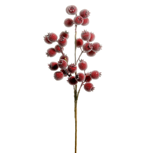Rama  berries rojas mate 21in