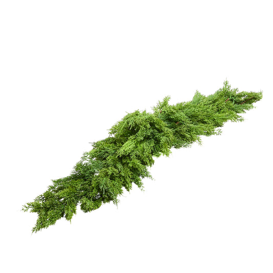 Guirnalda De Cedro Swag 46In