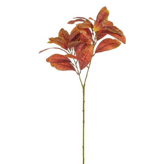 Rama De Magnolia Otonal 28In