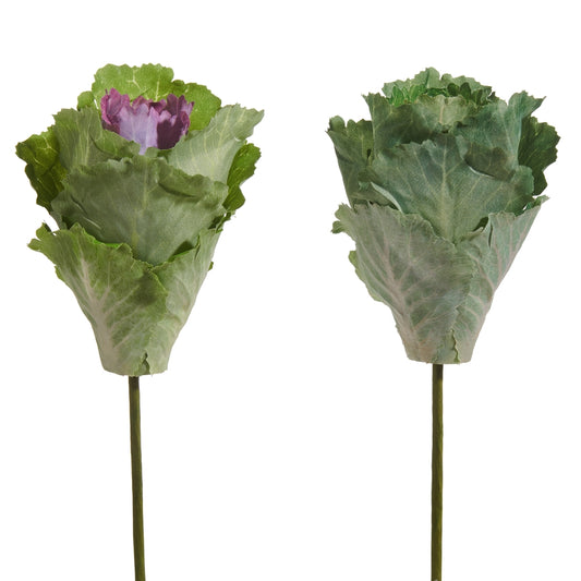 Rama de lechuga 9 pulgadas