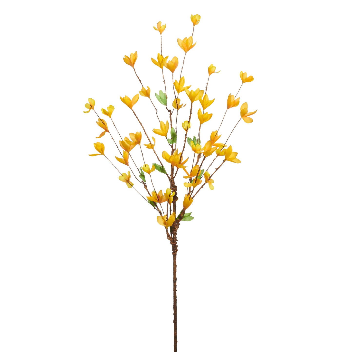 Rama forsythia amarilla 34 pulgadas