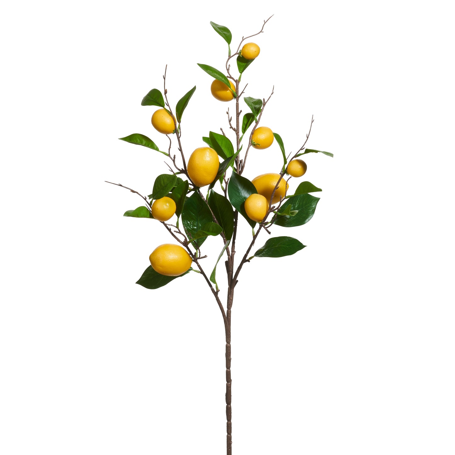 Rama de limon 36 pulgadas