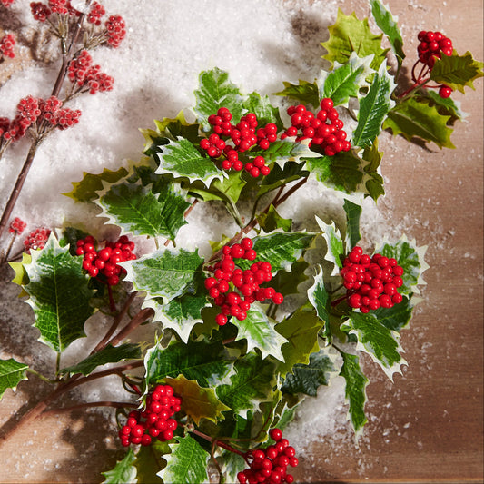Rama  holly y berries rojas 37in