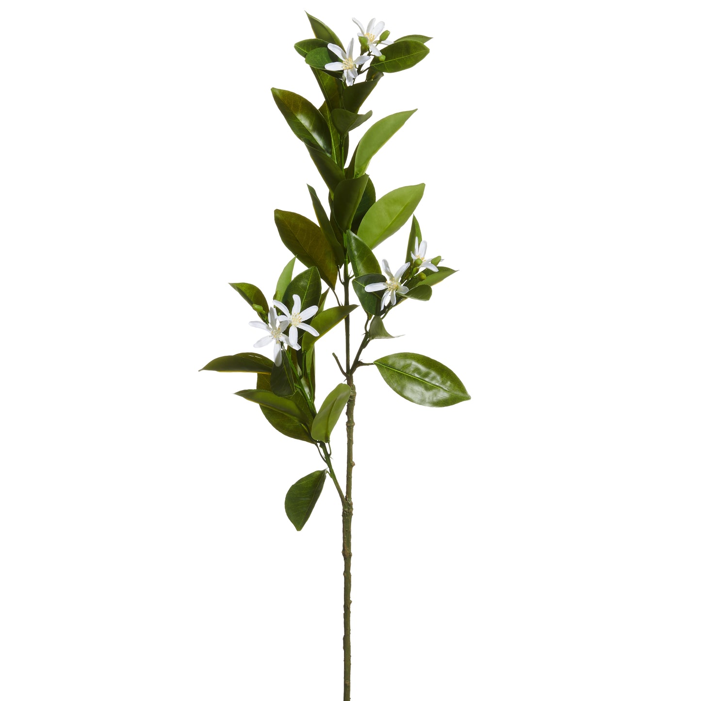 Rama flor de limon 31.5 pulgadas