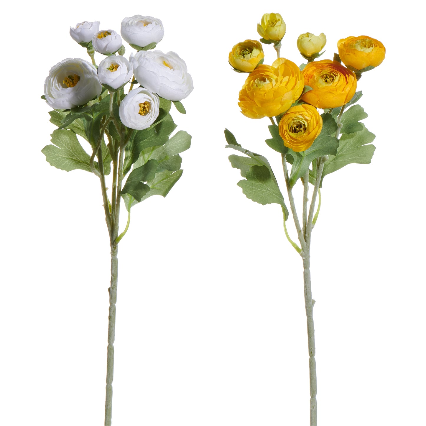 Rama ranunculus blanca y amarilla 19 pulgadas