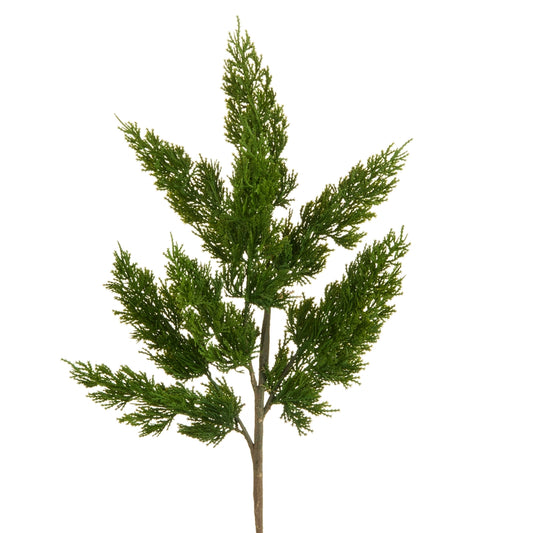 Rama cedro verde 25in