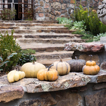 Calabazas le potrion francesas 6