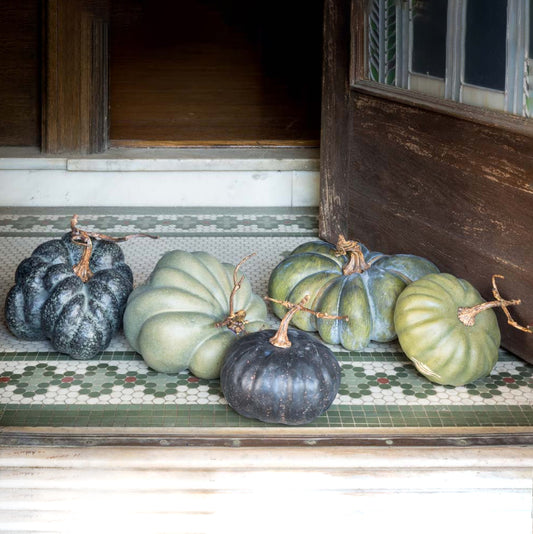 Calabazas heirloom 5
