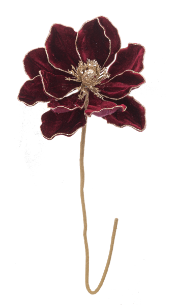 Magnolia corinta con dorado