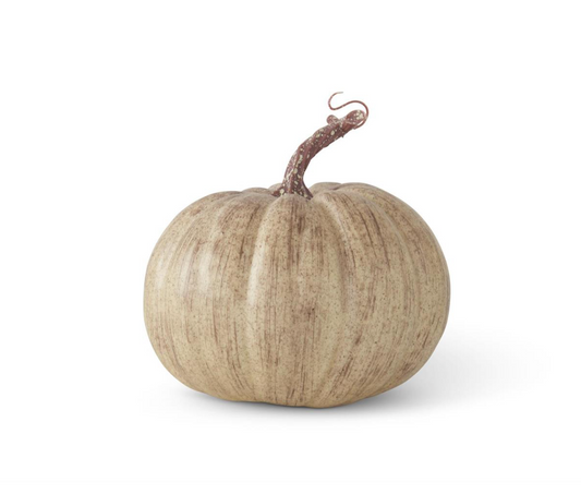 Calabaza Color Crema De 15 Cm Con Motas Y Vetas Cafes