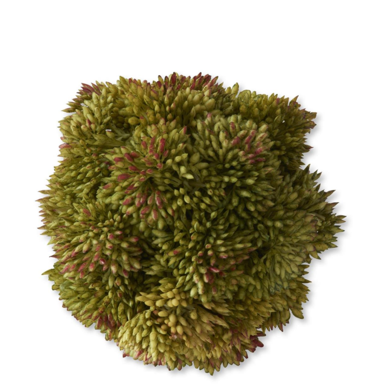 Bola Sedum