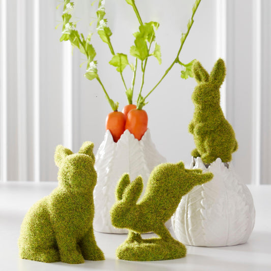 Conejo de musgo saltando