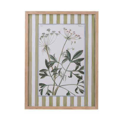 Cuadros de flores con lineas verdes