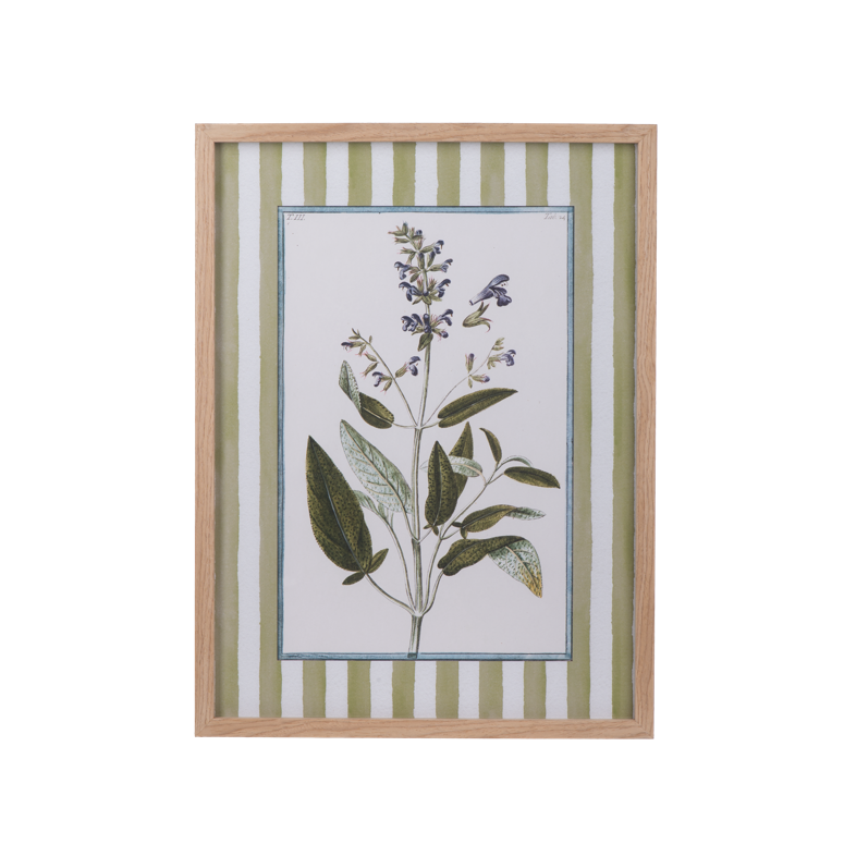 Cuadros de flores con lineas verdes