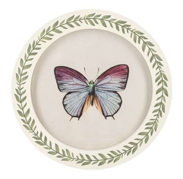 Cuadro redondo de mariposa