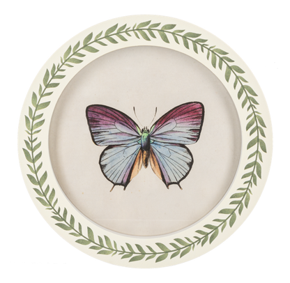 Cuadro redondo de mariposa