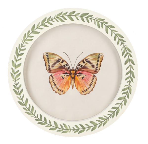 Cuadro redondo de mariposa
