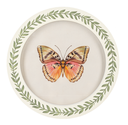 Cuadro redondo de mariposa