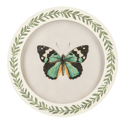 Cuadro redondo de mariposa