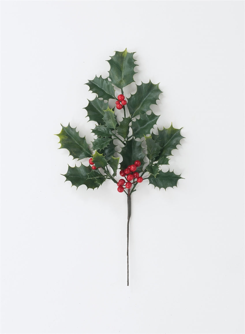Rama de holly pequeña
