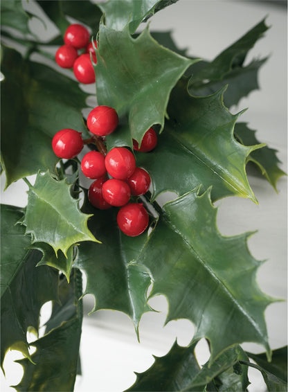 Rama de holly pequeña