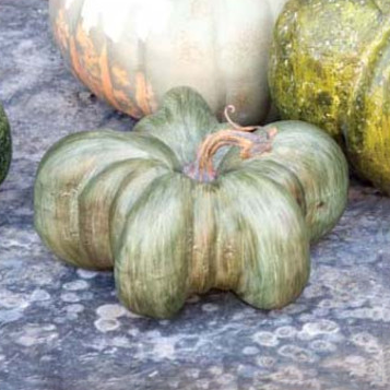 Calabazas heirloom 6