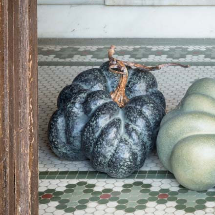 Calabazas heirloom 5