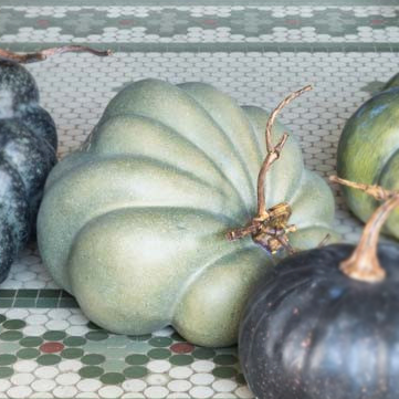 Calabazas heirloom 5