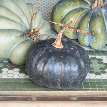 Calabazas heirloom 5