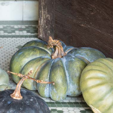 Calabazas heirloom 5