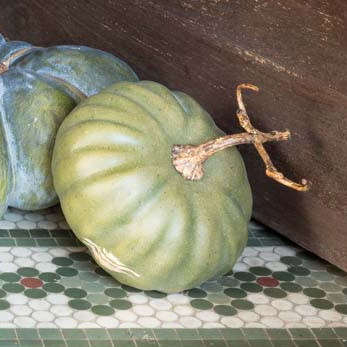 Calabazas heirloom 5